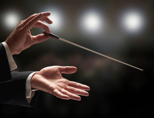 Il DIRETTORE D’ORCHESTRA